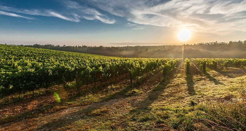 escursioni in toscana