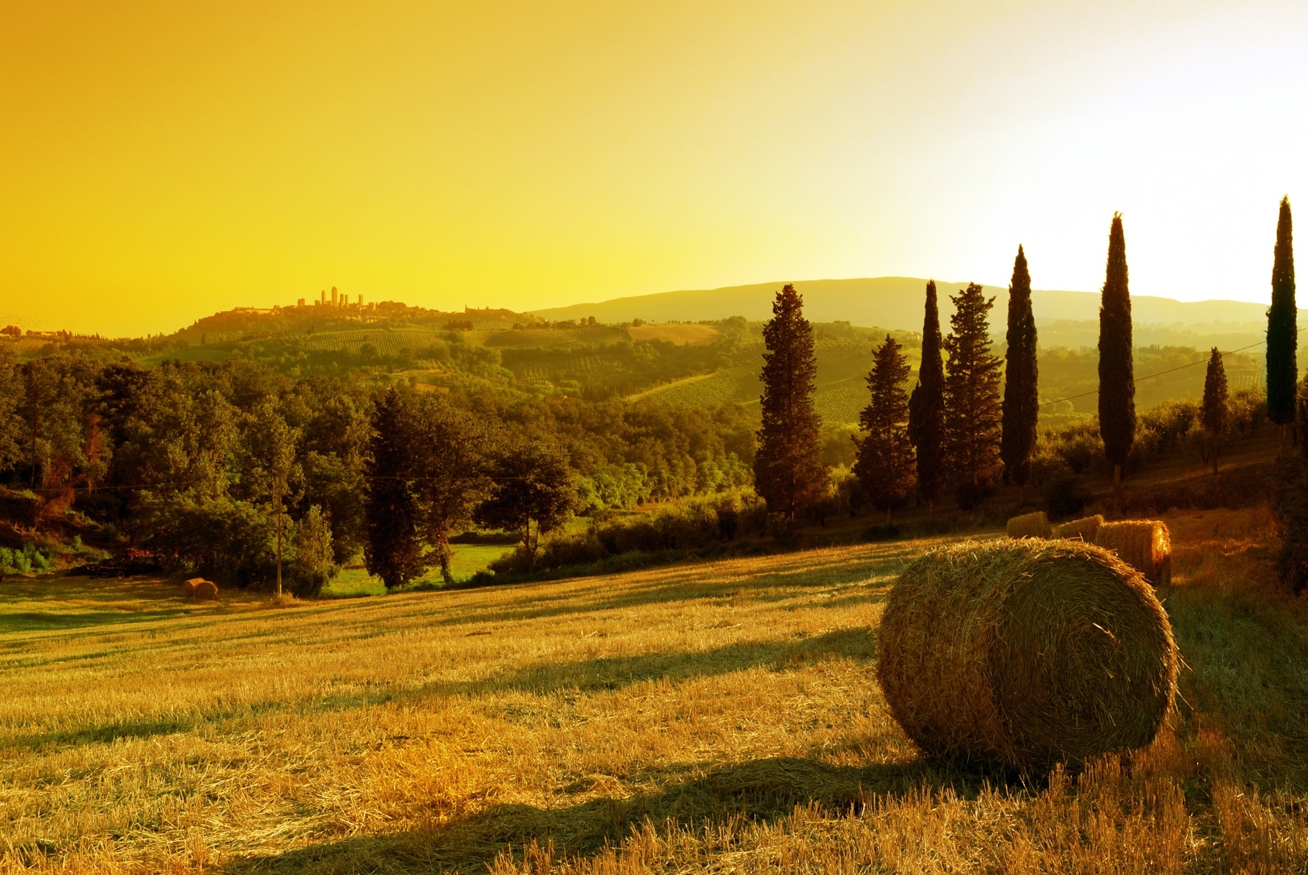 tuscany landscape